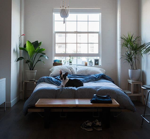 Indoor Air Quality Specialists in Corona, CA